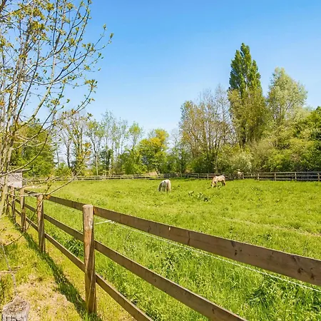 6 Bedroom Gorgeous In St Pierre En Auge *